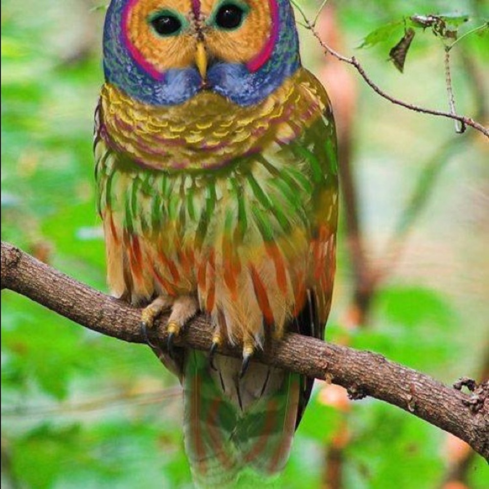 🌍five star seller - check my love notes